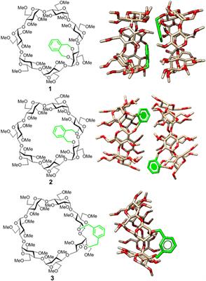 Dynamic Control of the Self-Assembling Properties of Cyclodextrins by the Interplay of Aromatic and Host-Guest Interactions